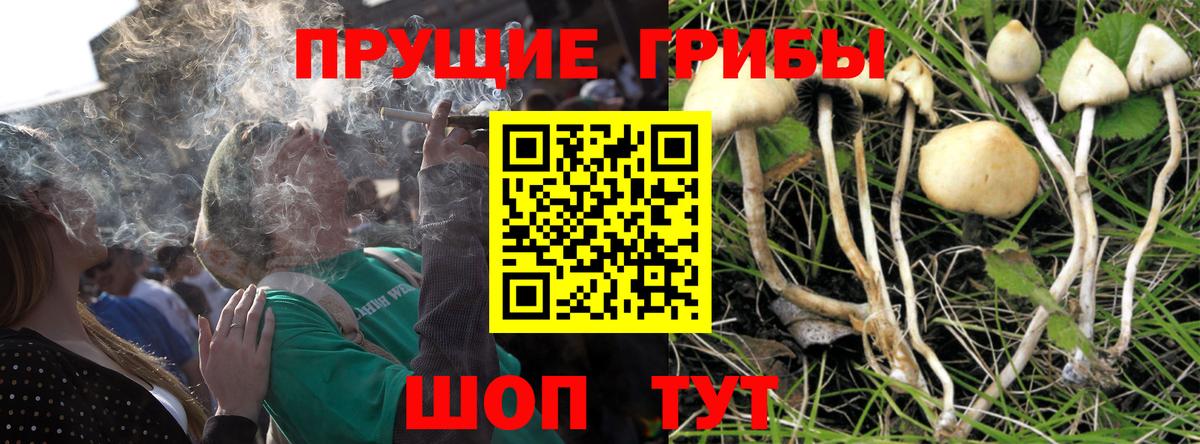 Галлюциногенные грибы MAGIC MUSHROOMS Нижневартовск